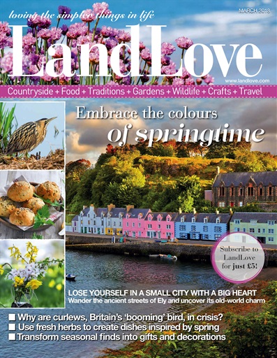 LandLove Magazine issue 