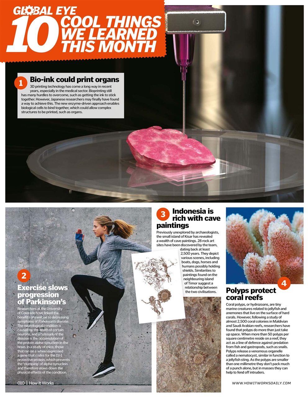 How It Works Preview Pages