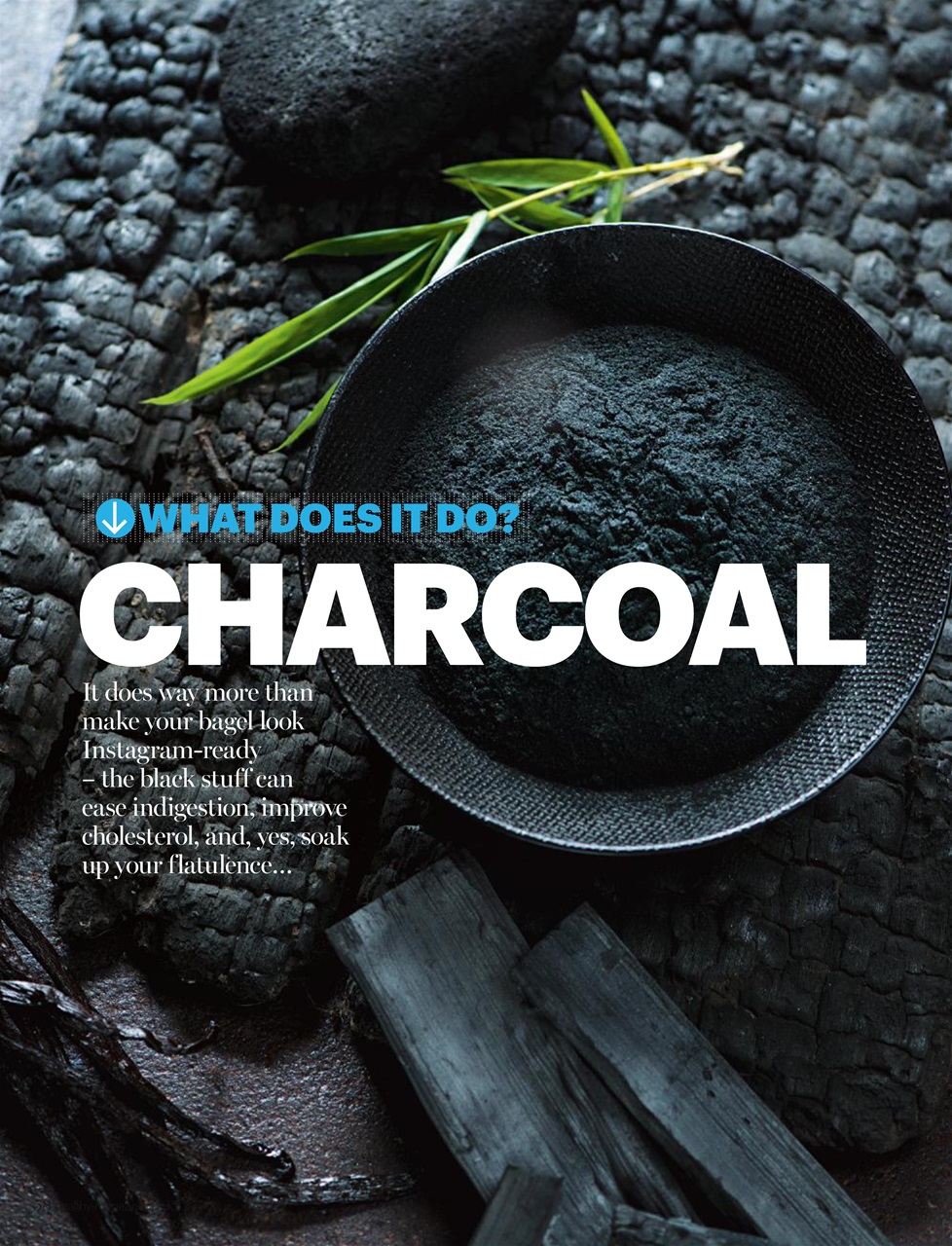 Healthy Magazine Preview Pages