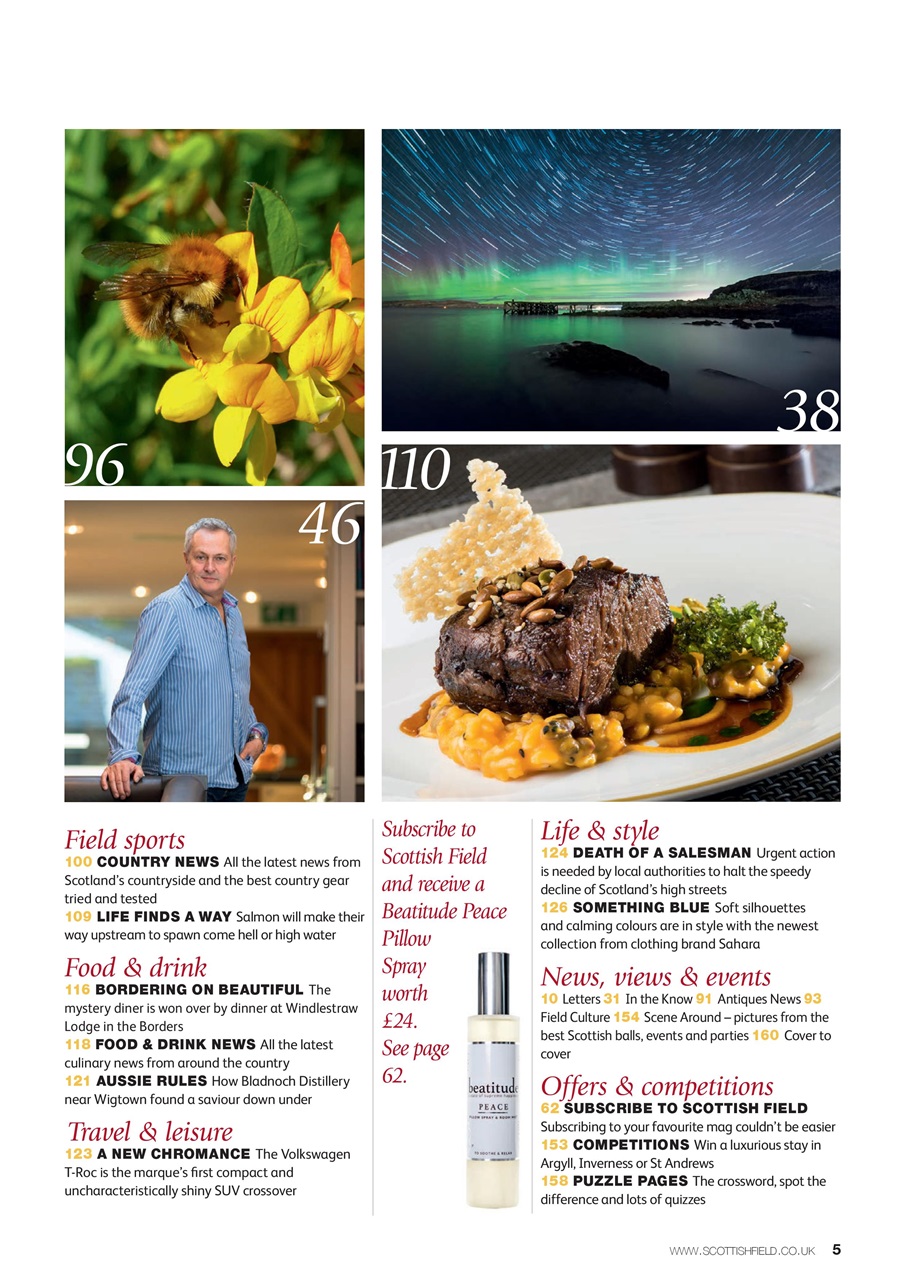 Scottish Field Preview Pages