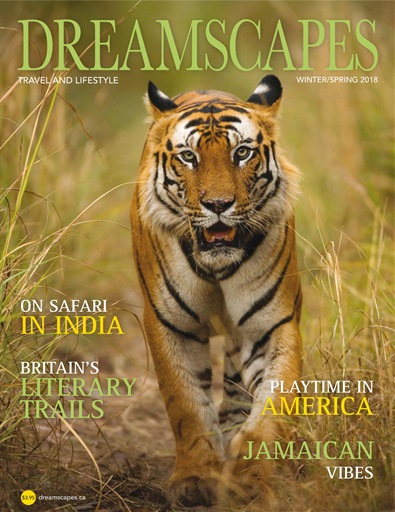 Dreamscapes issue 