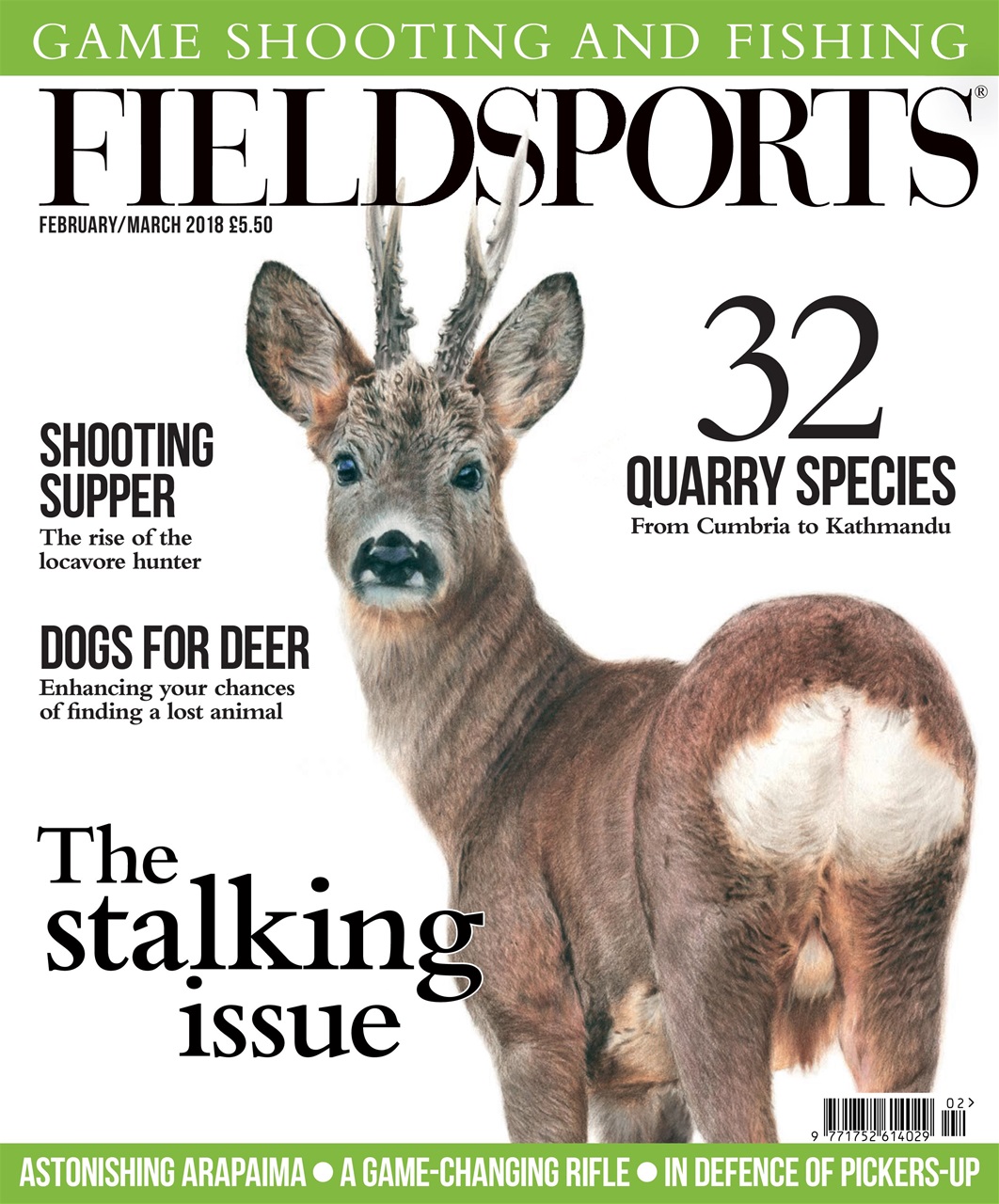 Fieldsports Journal Preview Pages