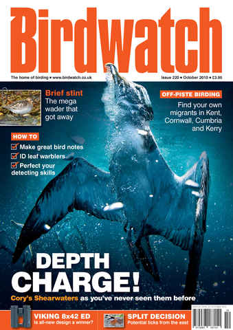 Birdwatch Magazine issue October 2010