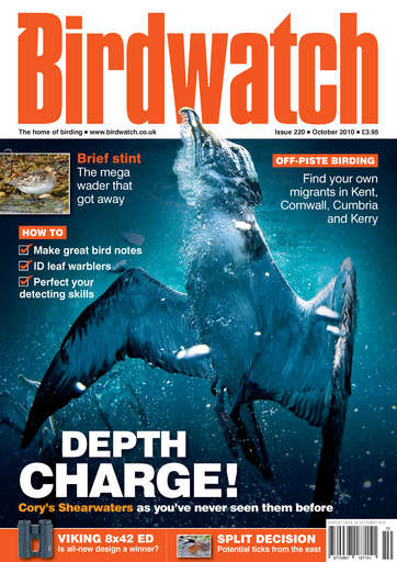 Birdwatch Magazine issue 