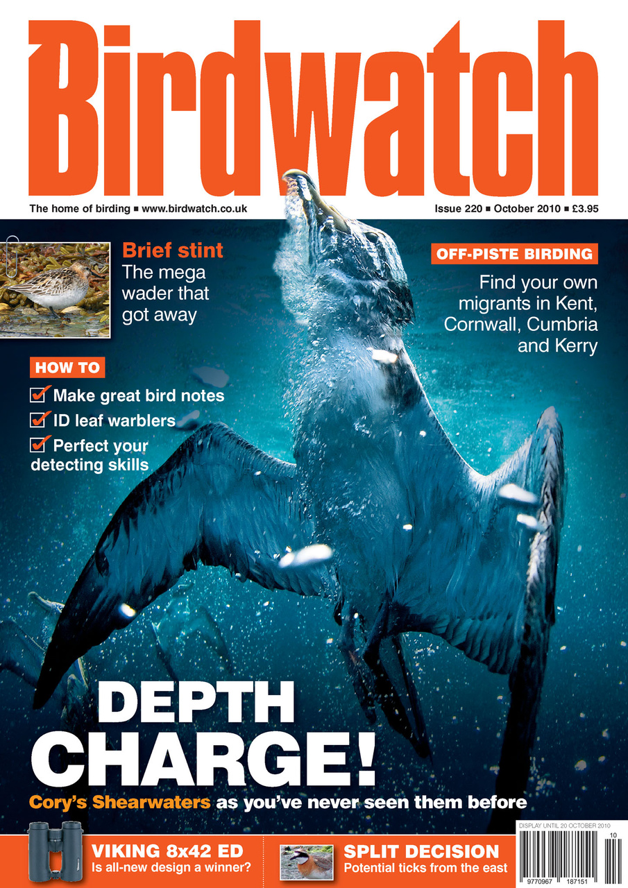 Birdwatch Magazine Preview Pages