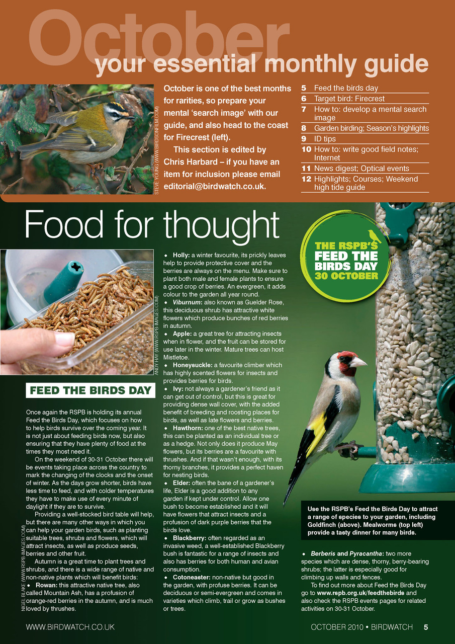 Birdwatch Magazine Preview Pages