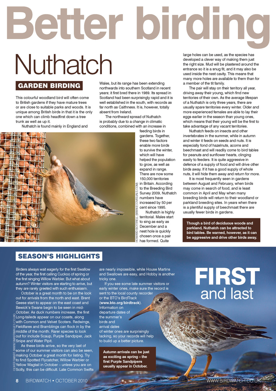 Birdwatch Magazine Preview Pages