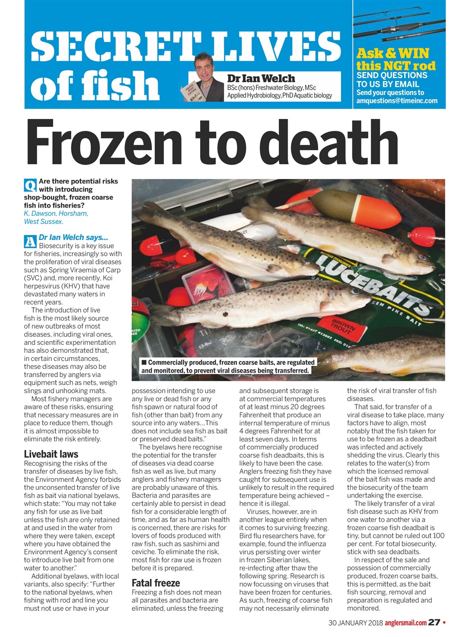 Anglers Mail Preview Pages