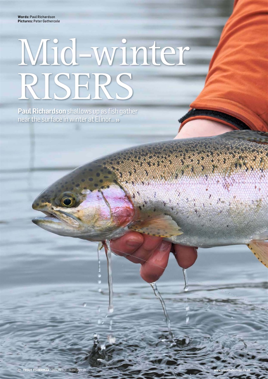 Trout Fisherman Preview Pages