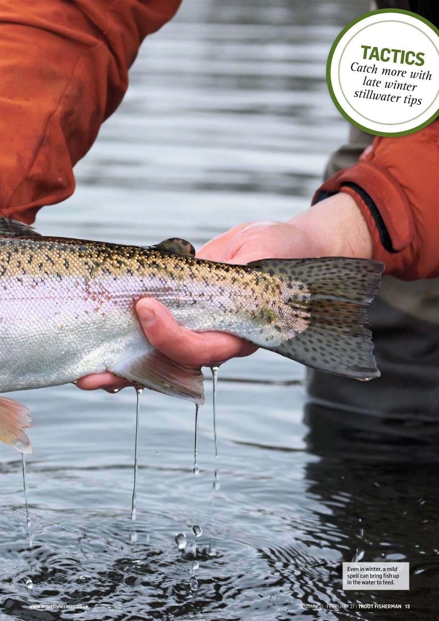 Trout Fisherman Preview Pages