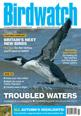 Birdwatch Magazine issue November 2010