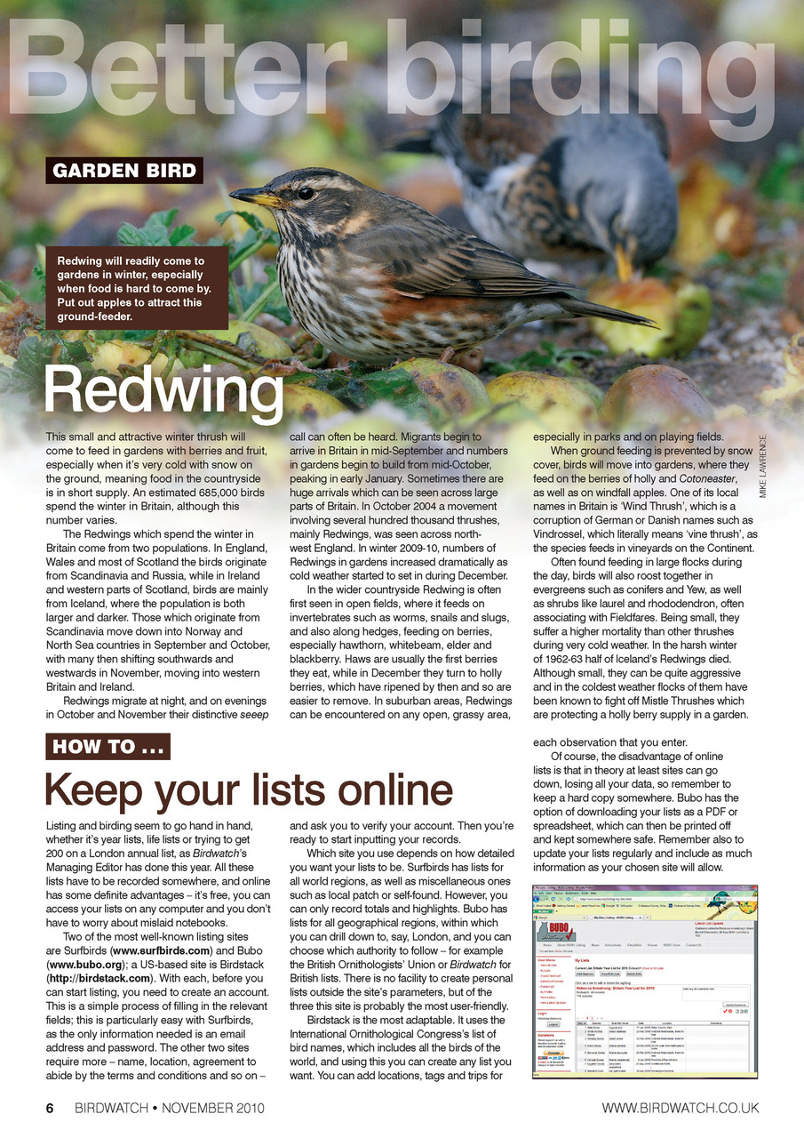 Birdwatch Magazine Preview Pages