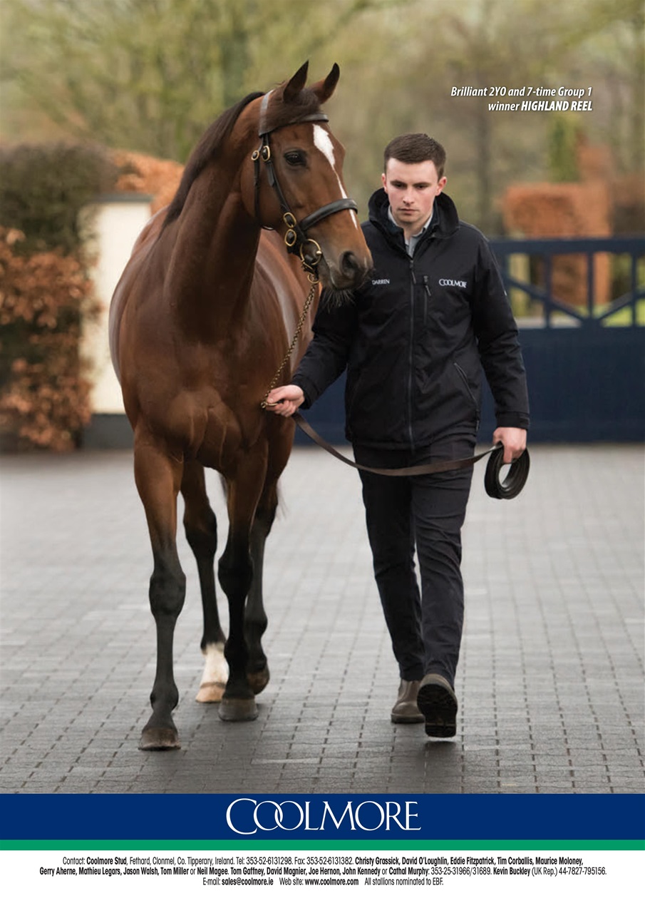 The Owner Breeder Preview Pages