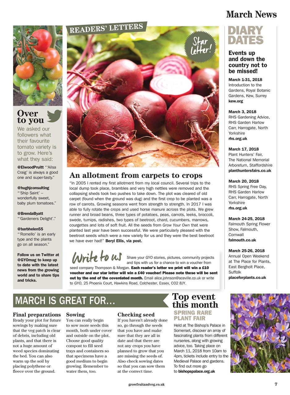 Grow Your Own Preview Pages