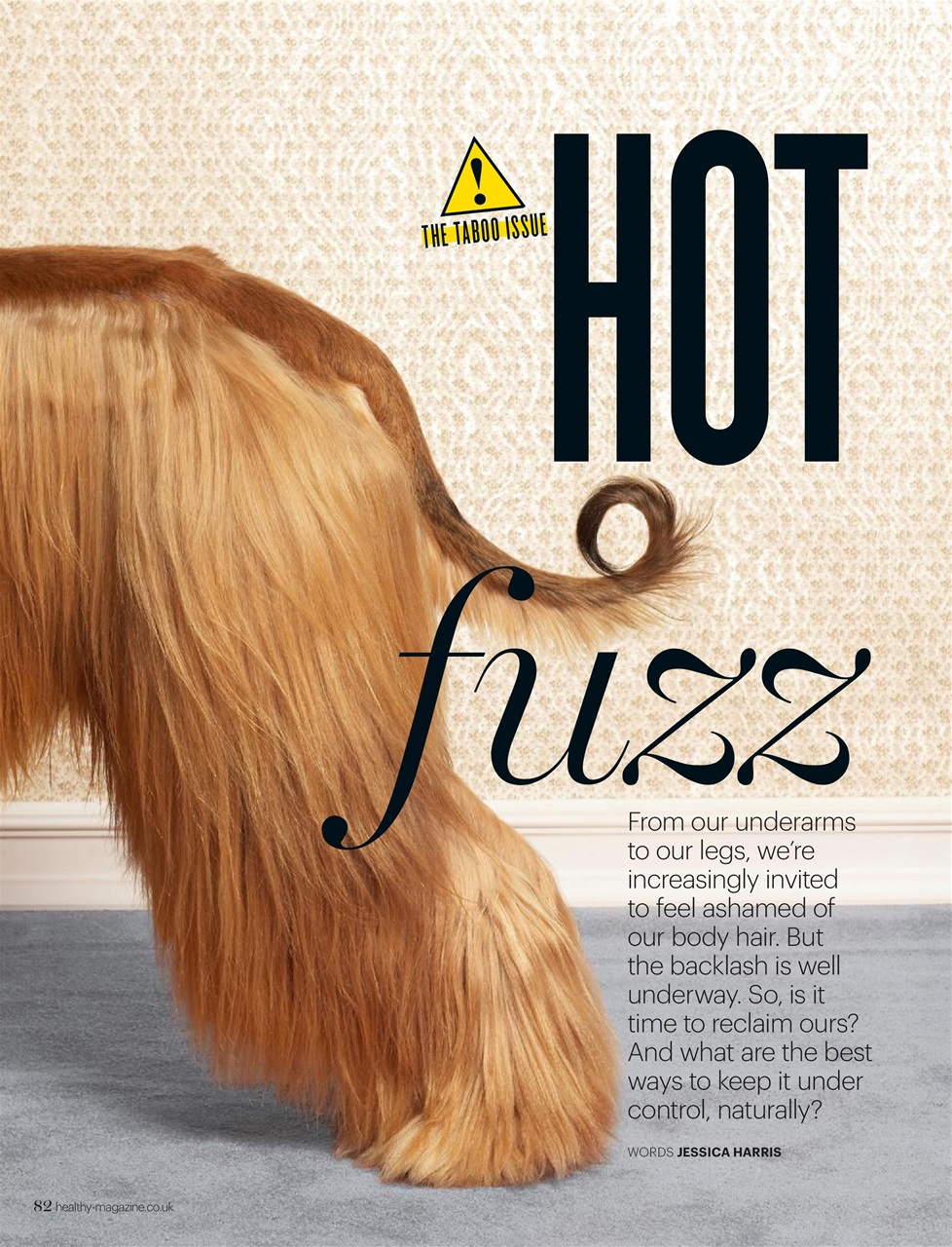 Healthy Magazine Preview Pages