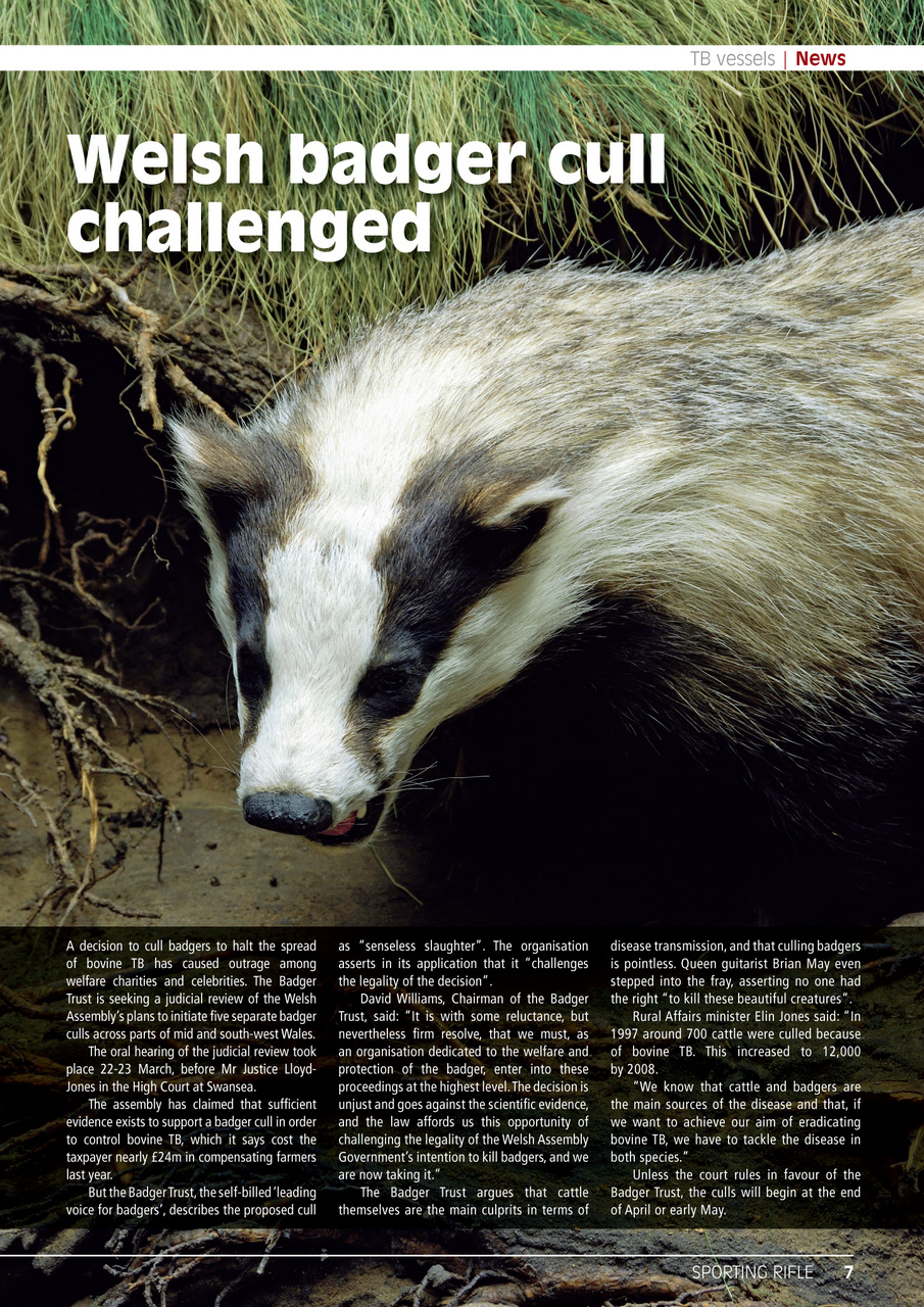 Sporting Rifle Preview Pages