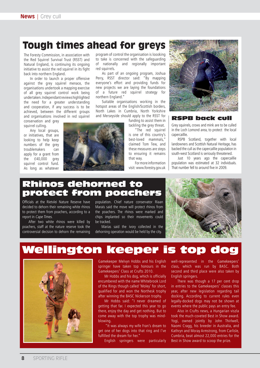 Sporting Rifle Preview Pages