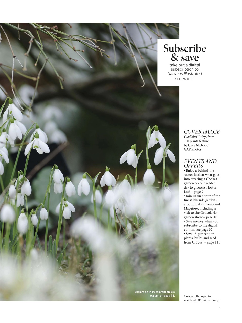 Gardens Illustrated Preview Pages