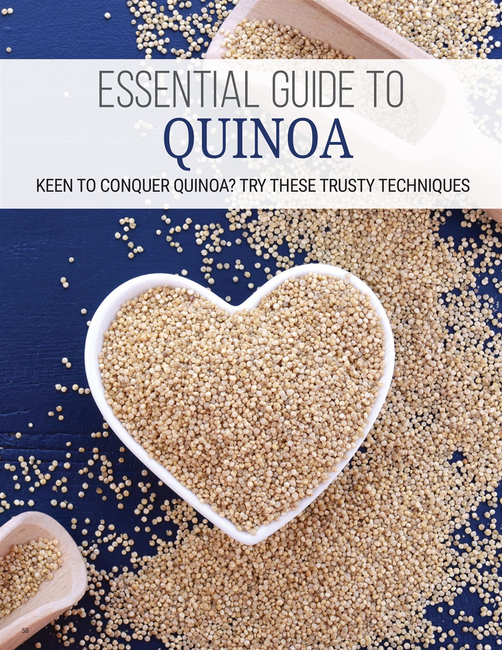 PlantBased Preview Pages