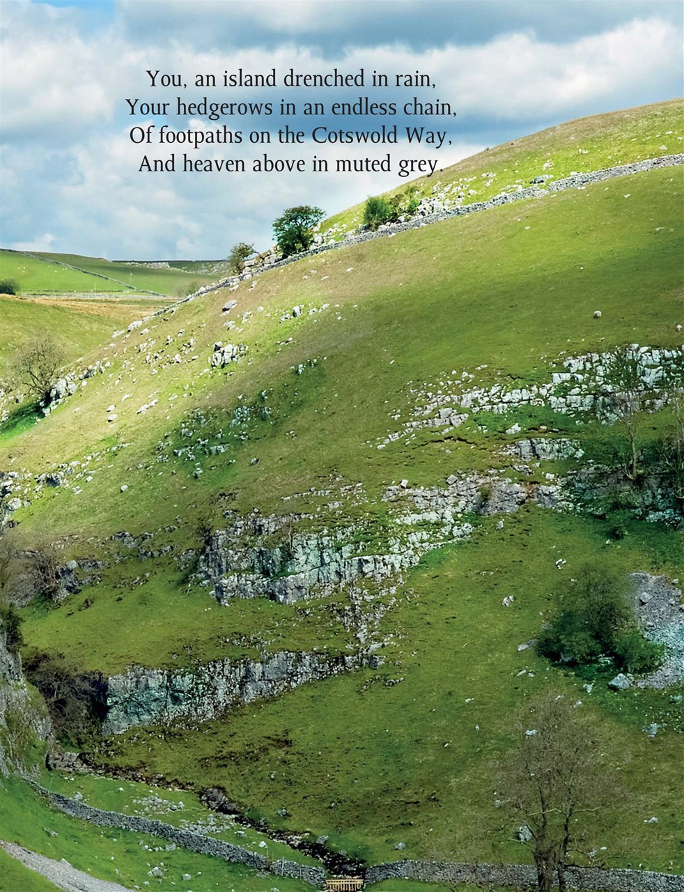 This England Preview Pages