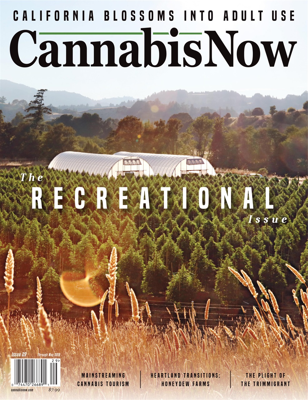 Cannabis Now Preview Pages