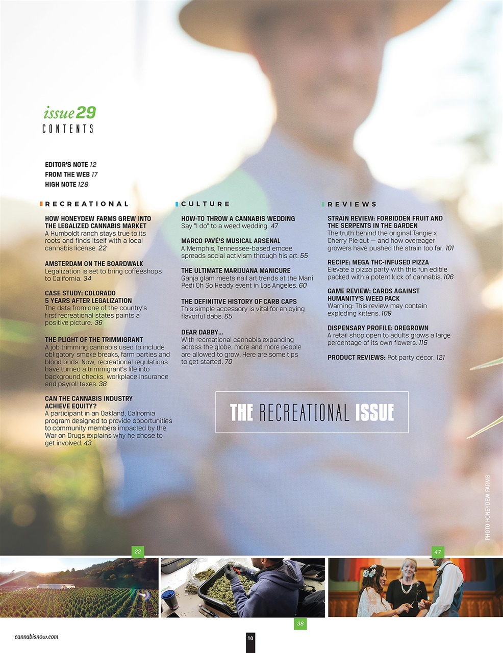 Cannabis Now Preview Pages