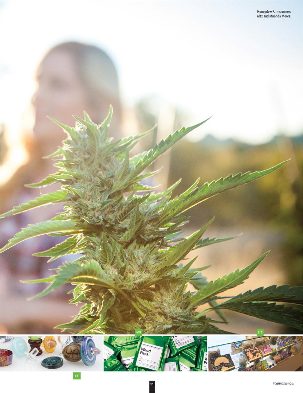 Cannabis Now Preview Pages