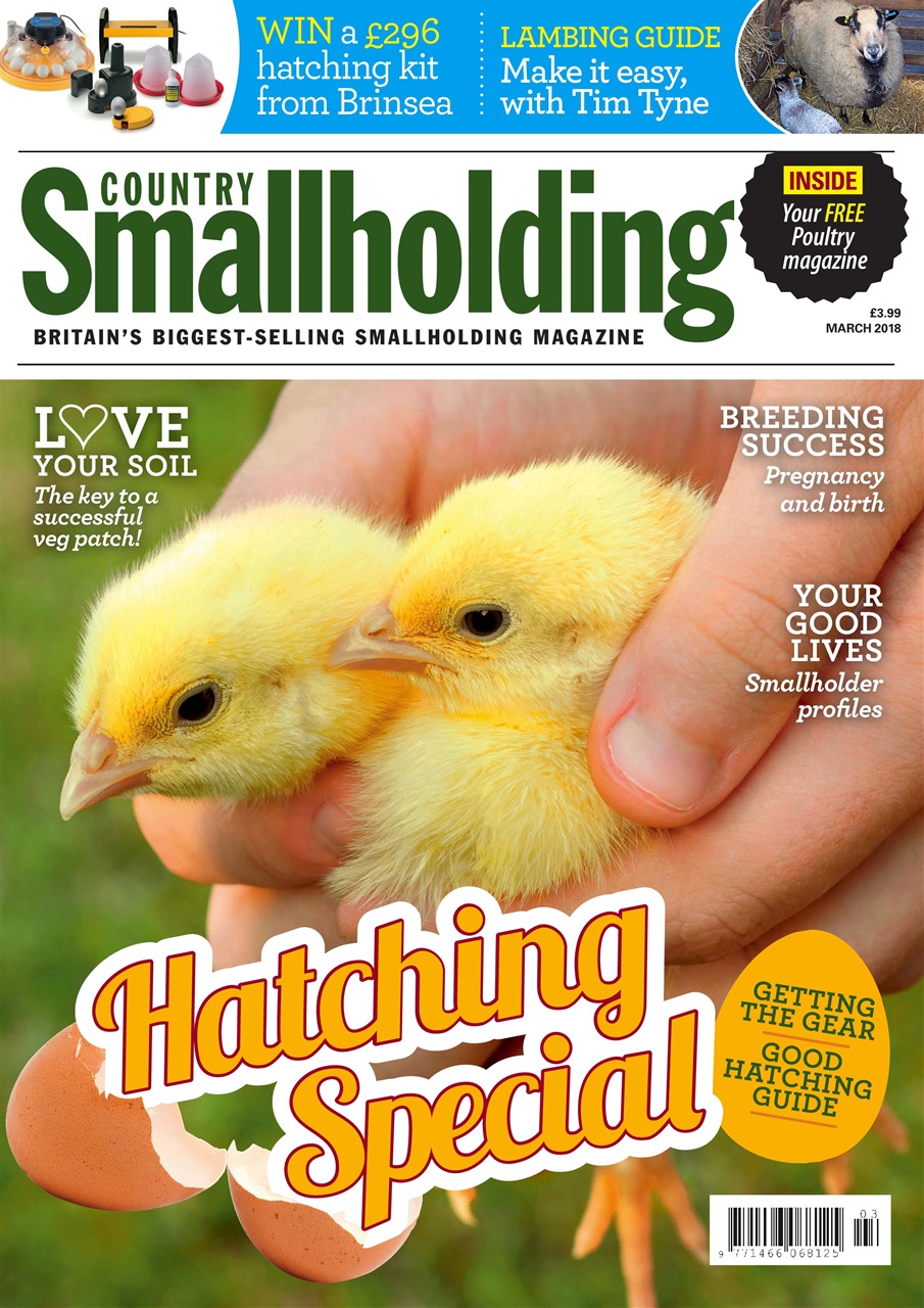 The Country Smallholder Preview Pages