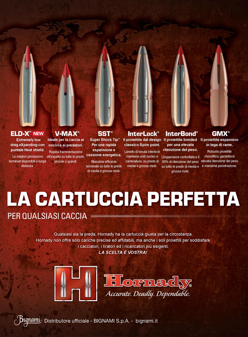 Caccia Magazine Preview Pages