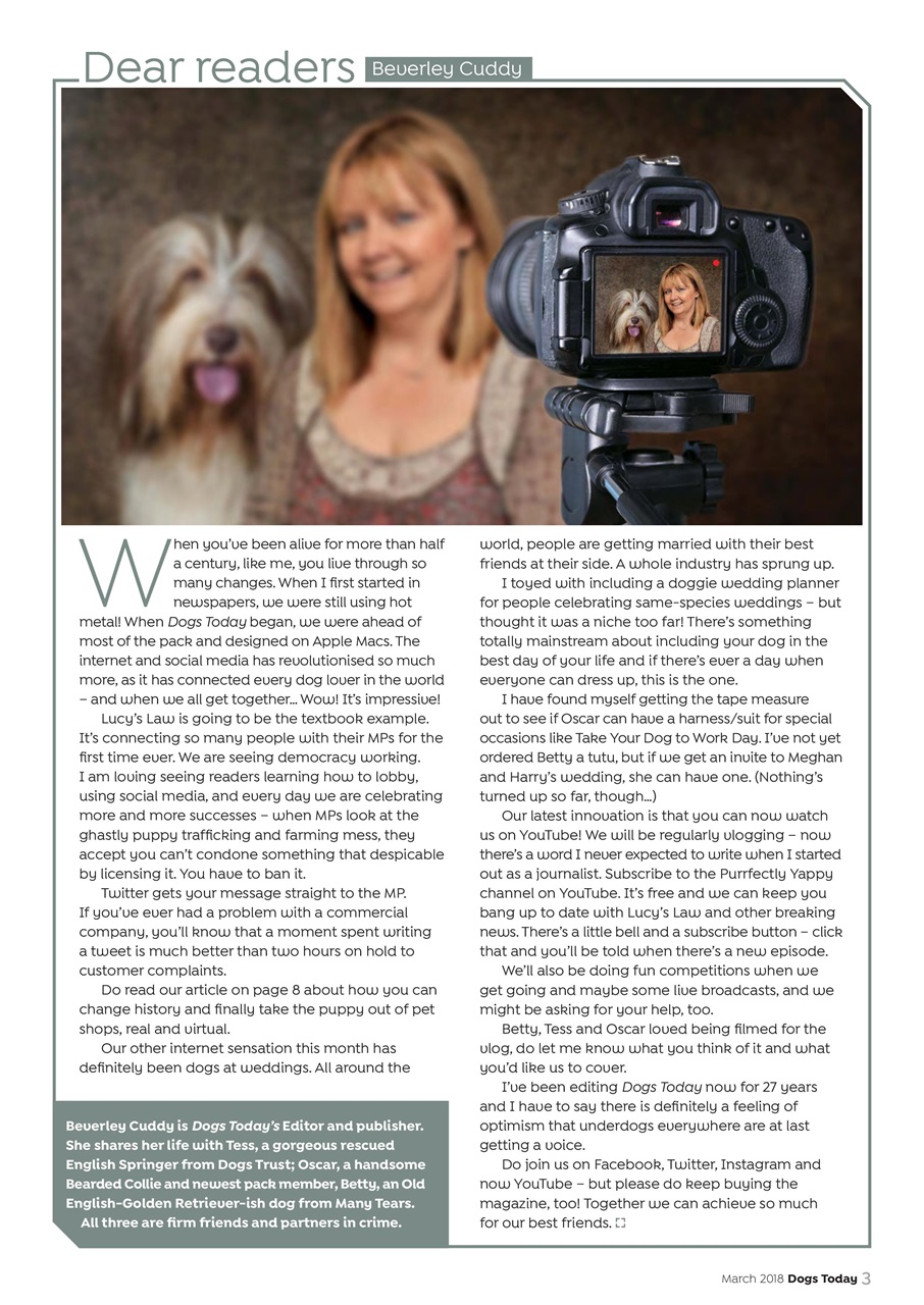 Dogs Today Magazine Preview Pages
