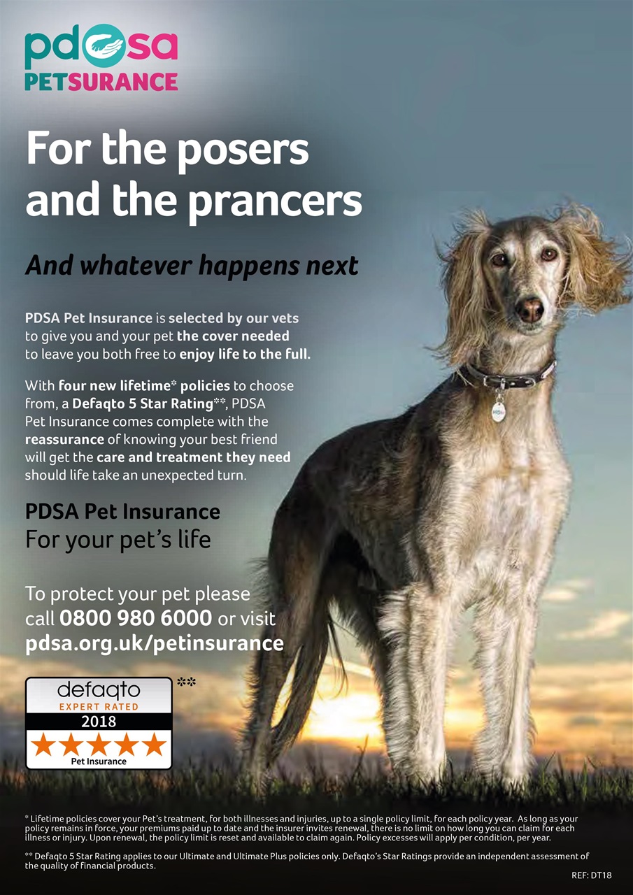 Dogs Today Magazine Preview Pages