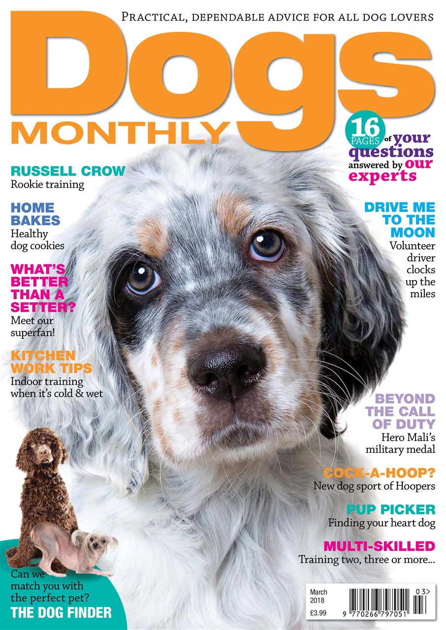 Dogs Monthly Preview Pages
