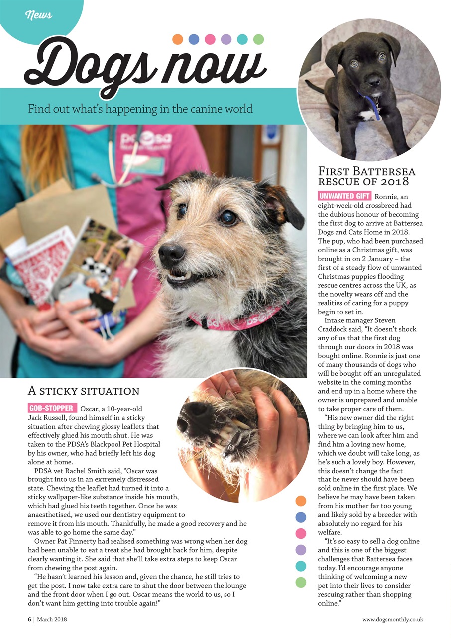 Dogs Monthly Preview Pages