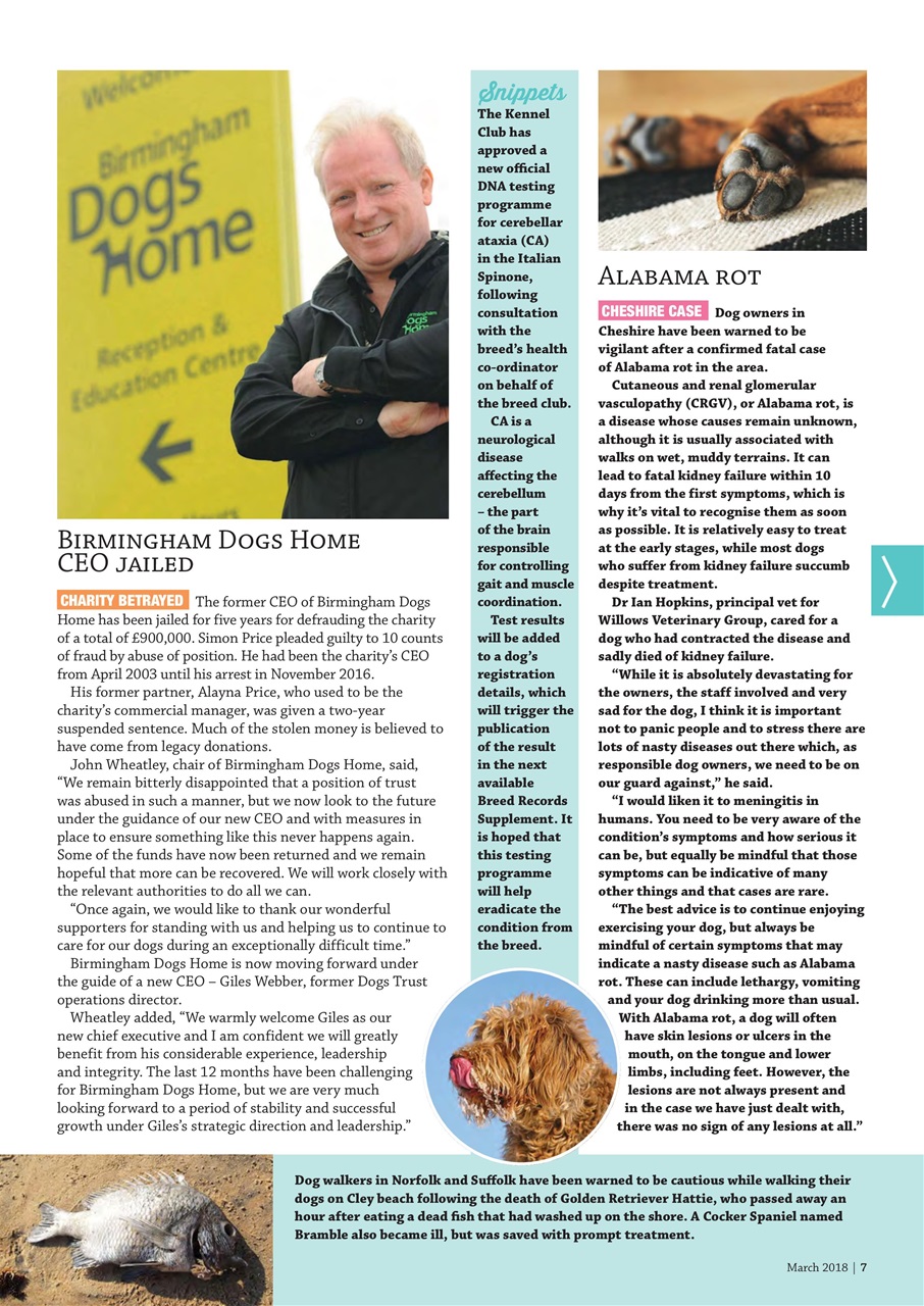 Dogs Monthly Preview Pages