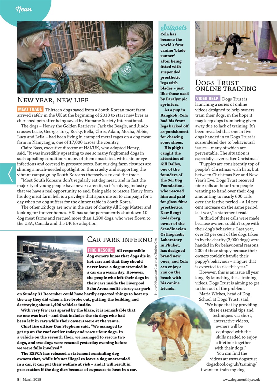 Dogs Monthly Preview Pages