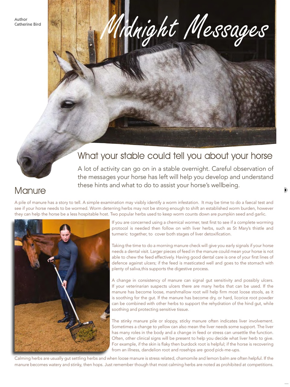 Hoofbeats Preview Pages