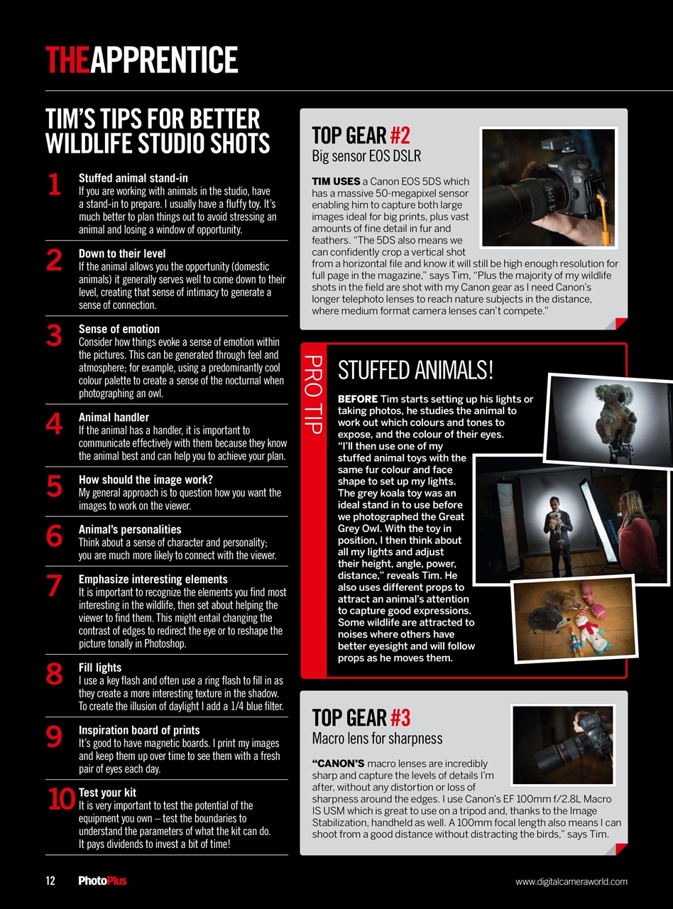 PhotoPlus Preview Pages