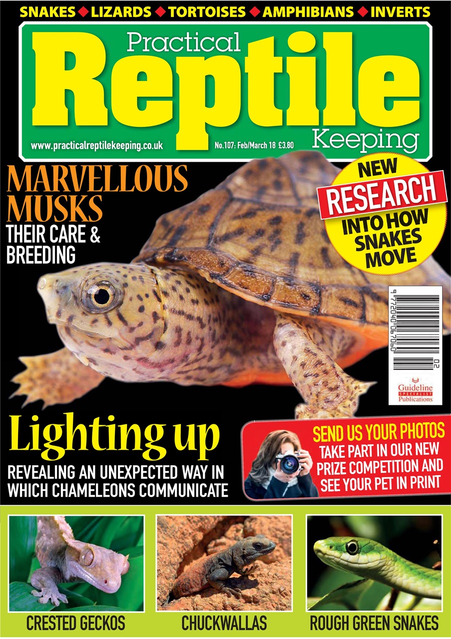 Practical Reptile Keeping Preview Pages