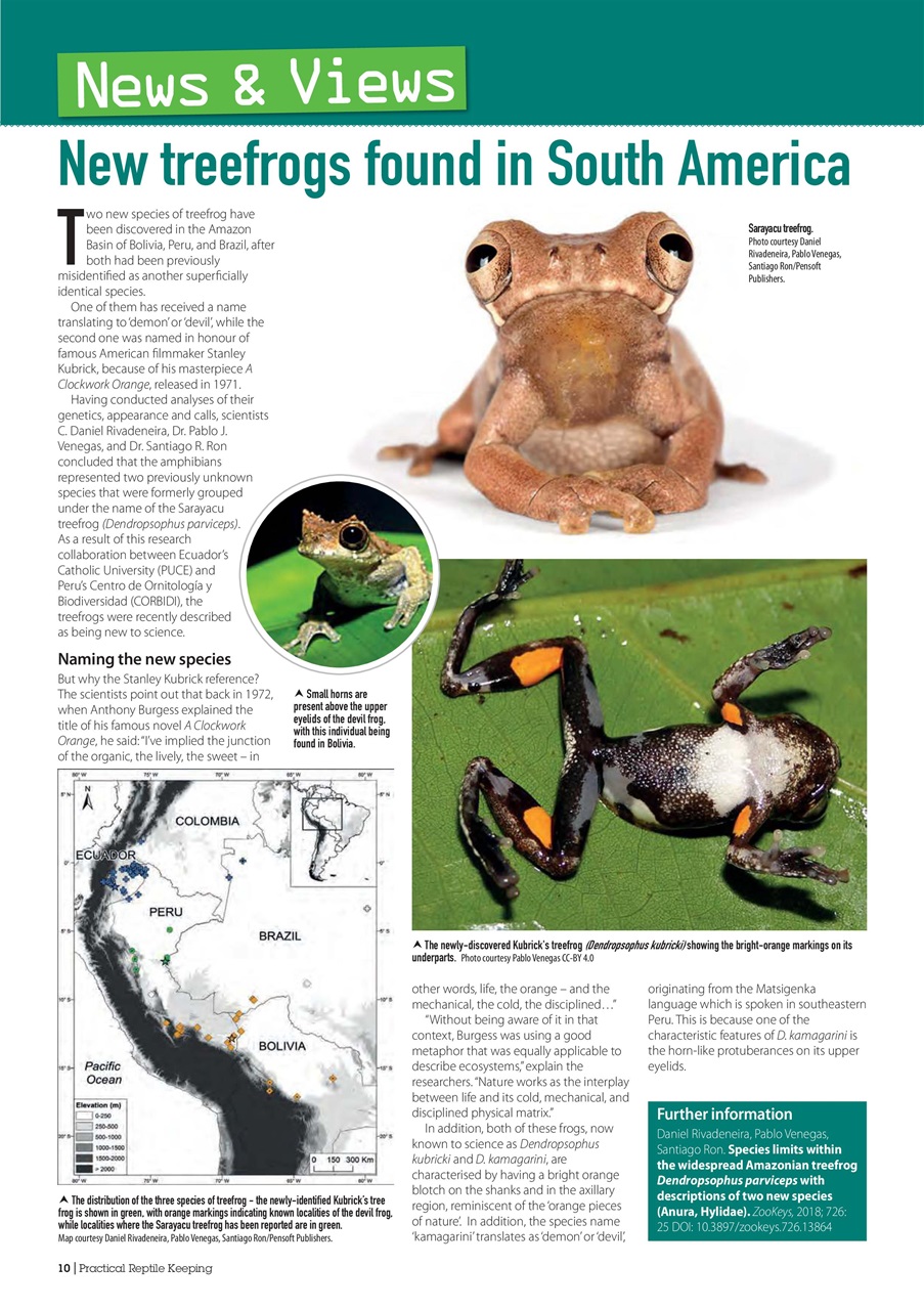 Practical Reptile Keeping Preview Pages