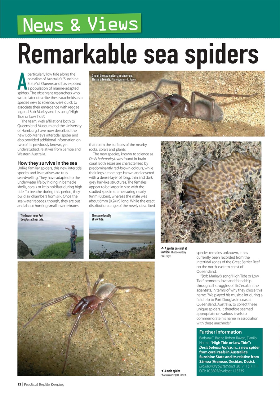 Practical Reptile Keeping Preview Pages