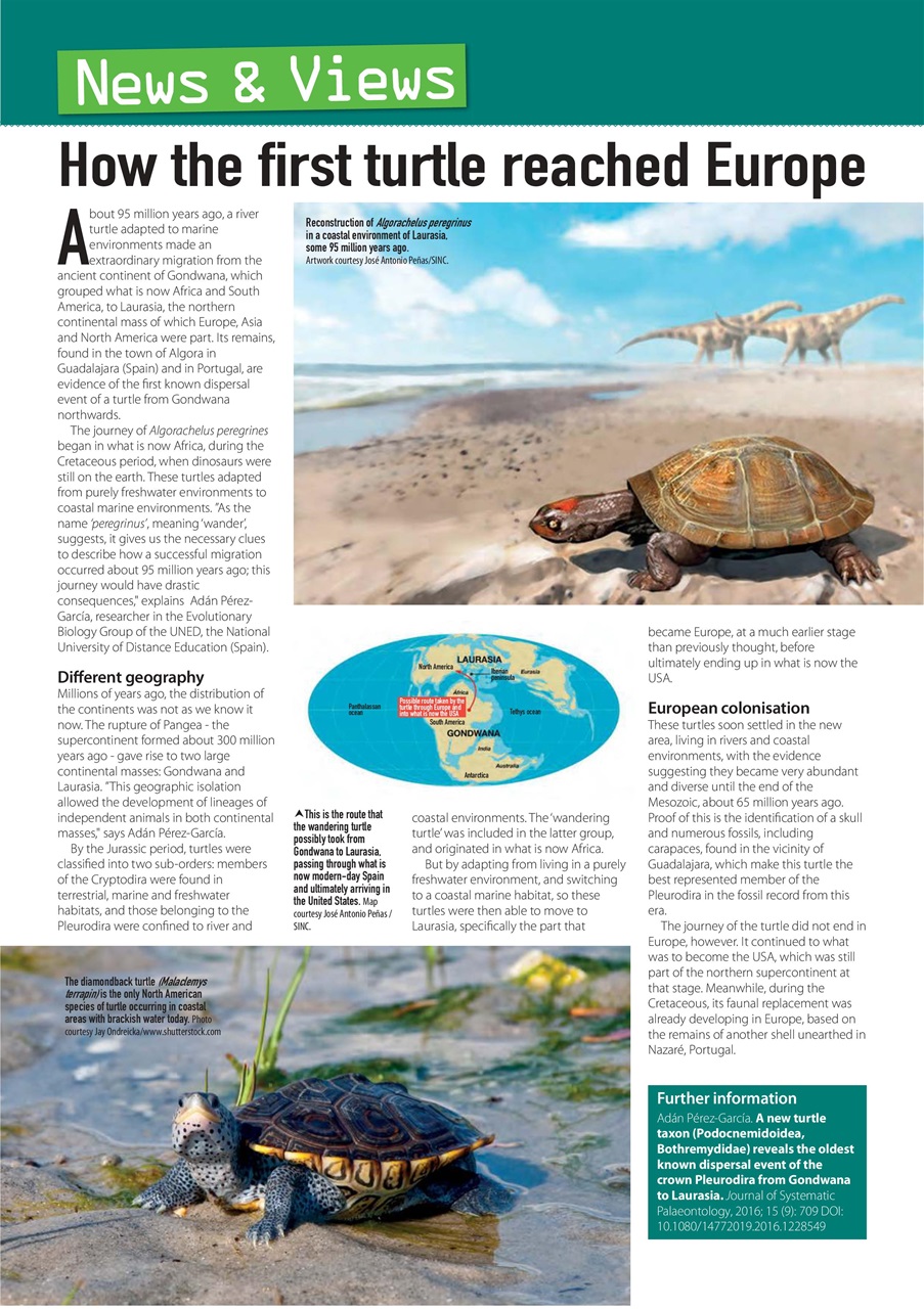 Practical Reptile Keeping Preview Pages