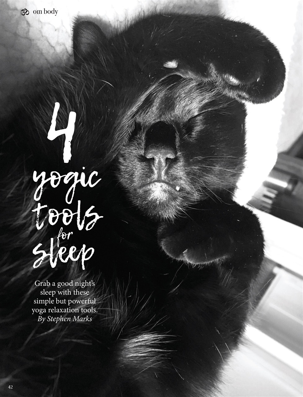 OM Yoga Magazine Preview Pages