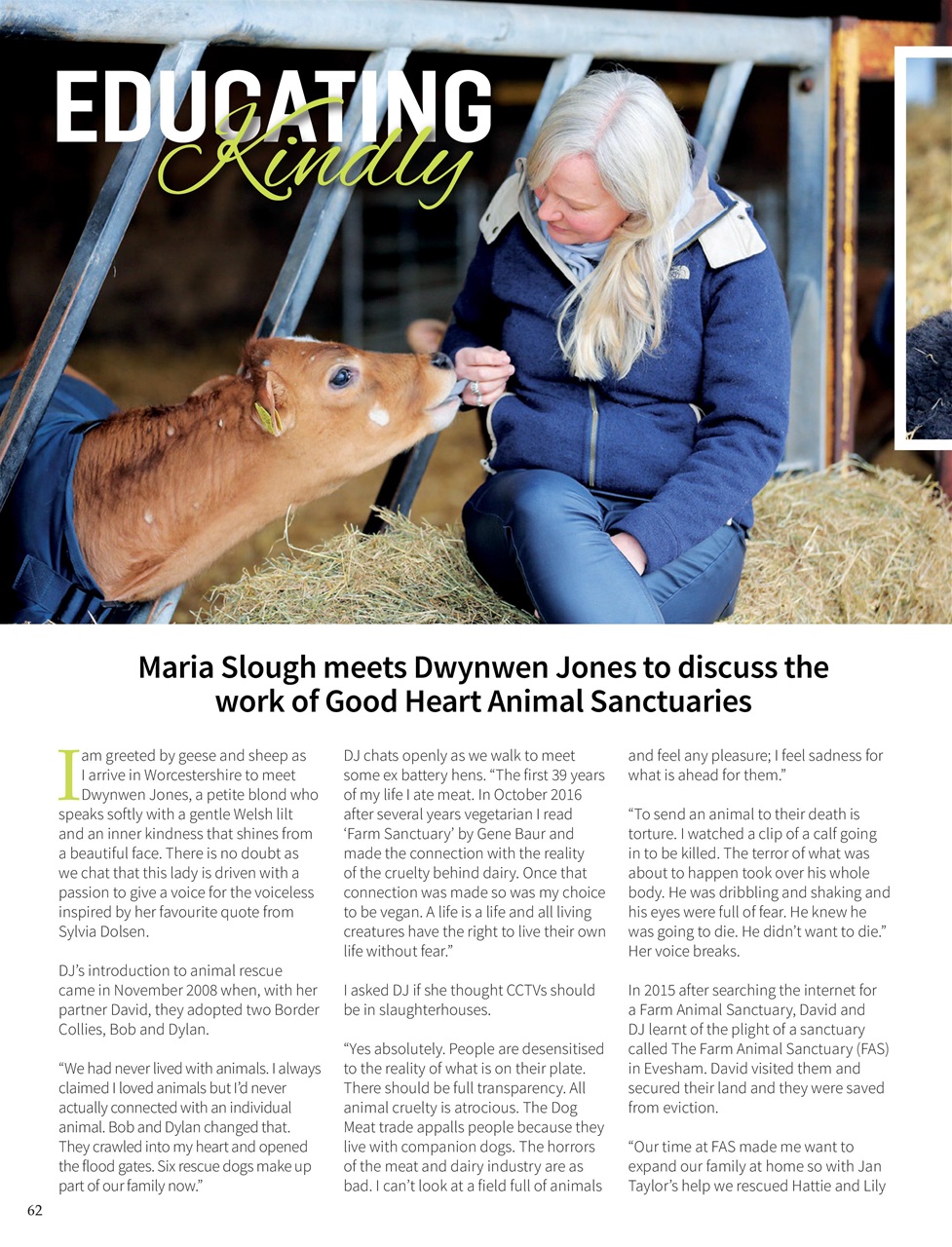 Vegan Life Preview Pages