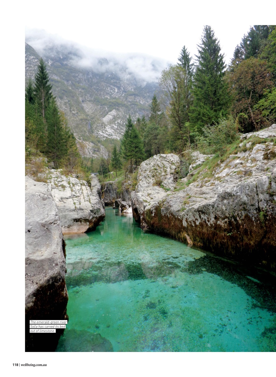 WellBeing Preview Pages