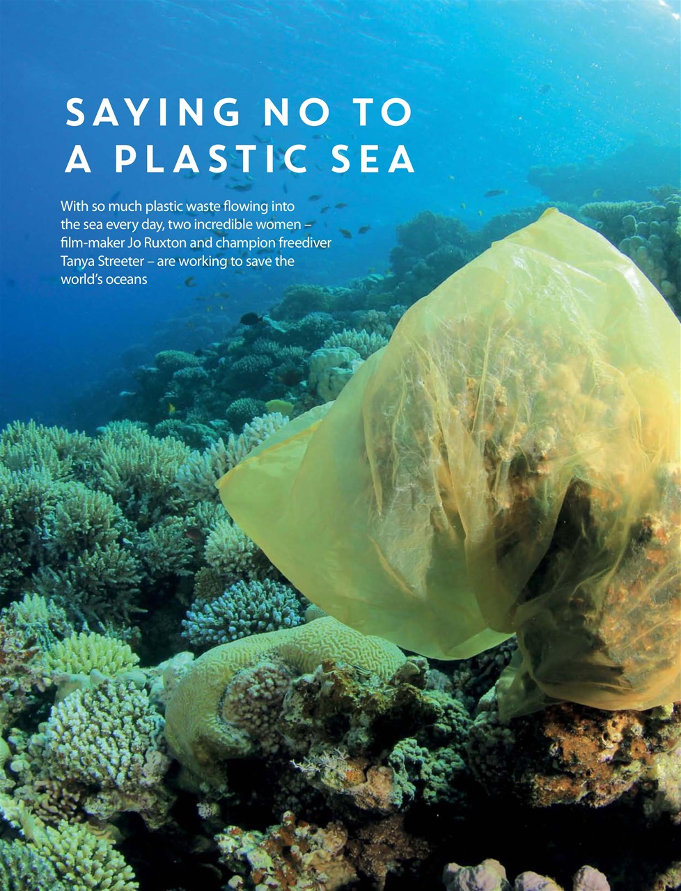 Teen Breathe Preview Pages