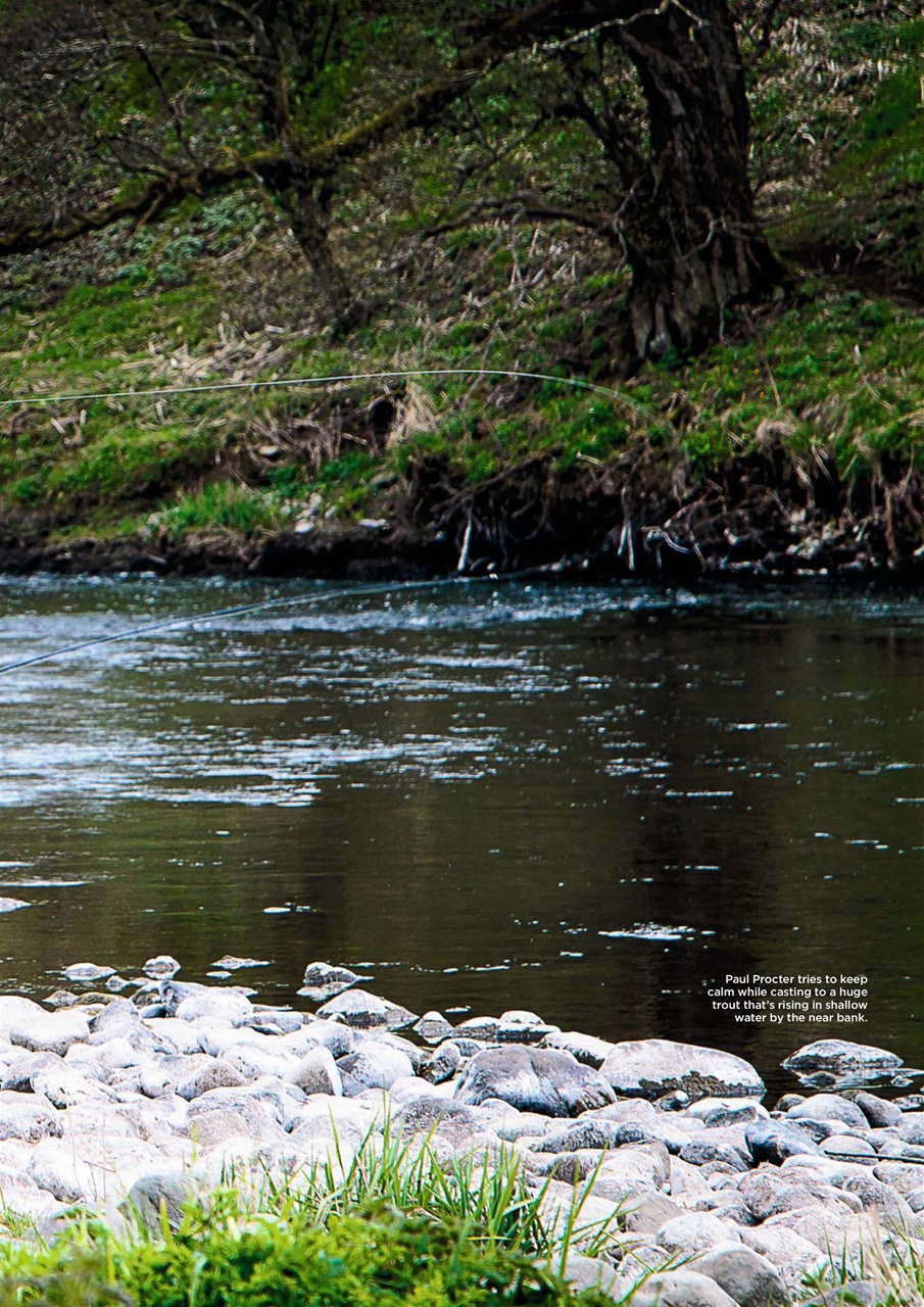 Trout & Salmon Preview Pages