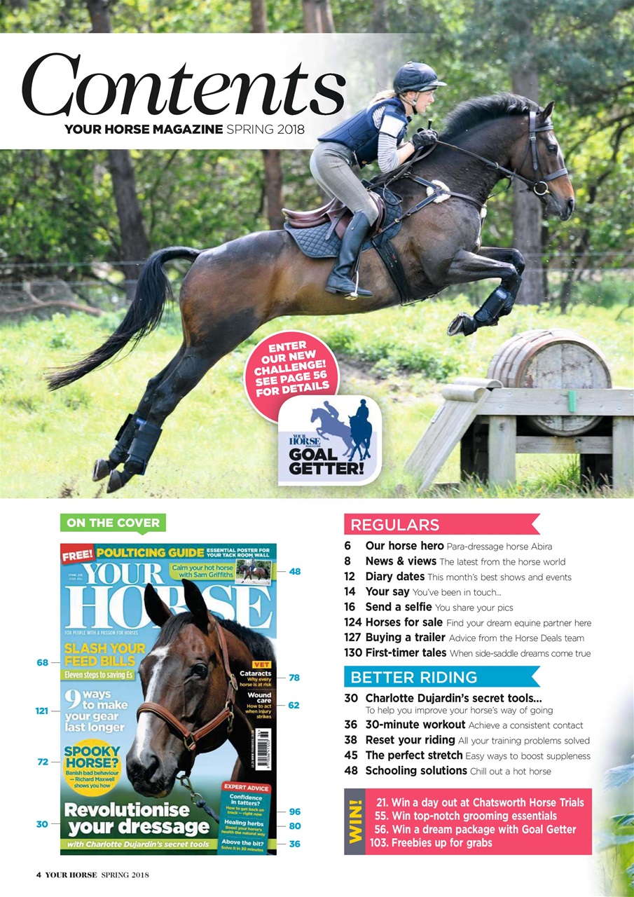 Your Horse Preview Pages