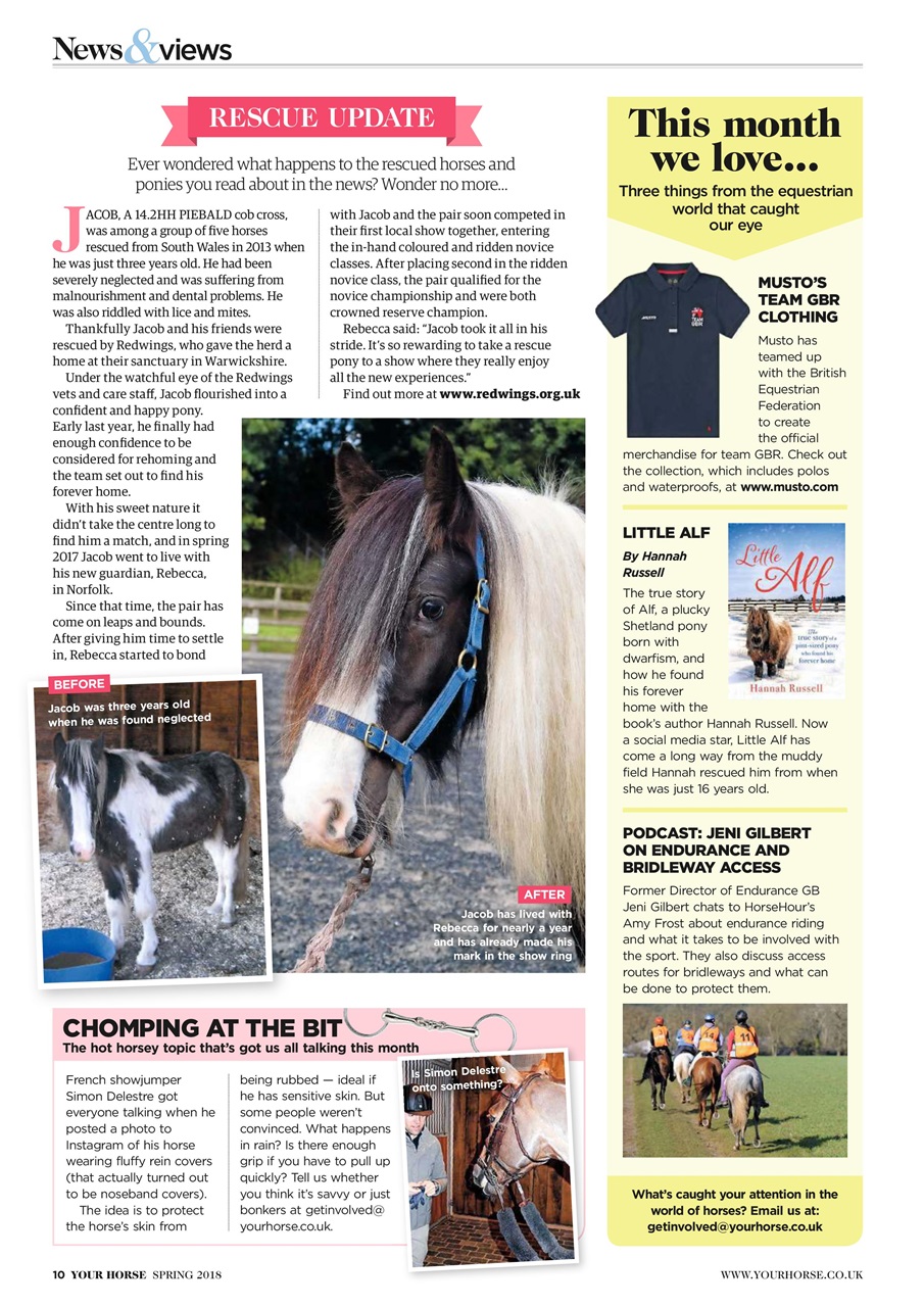 Your Horse Preview Pages