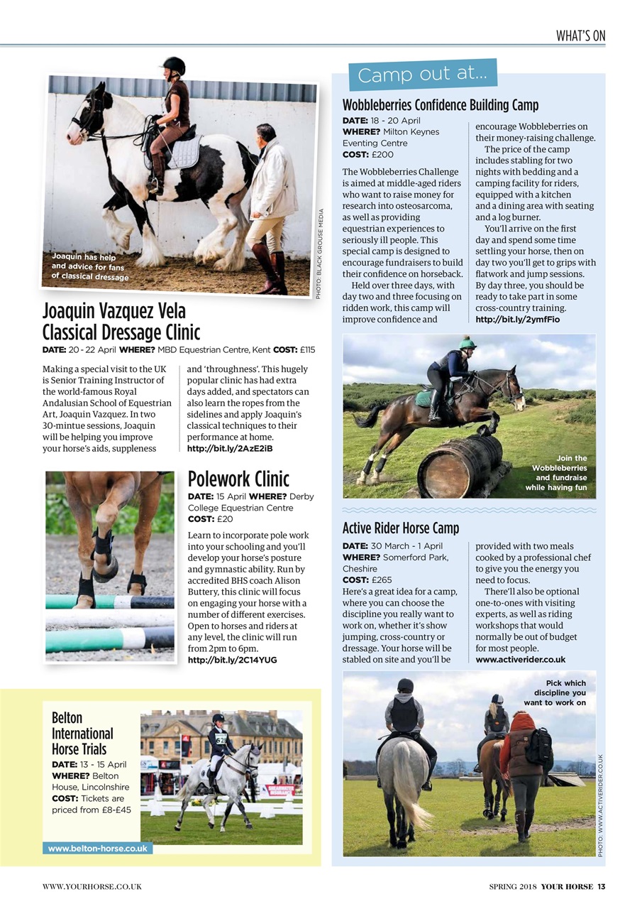 Your Horse Preview Pages