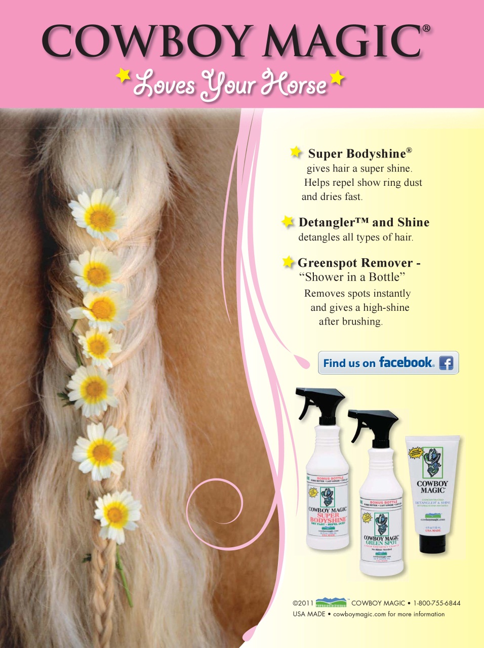 Blaze Magazine For Horse Crazy Kids Preview Pages